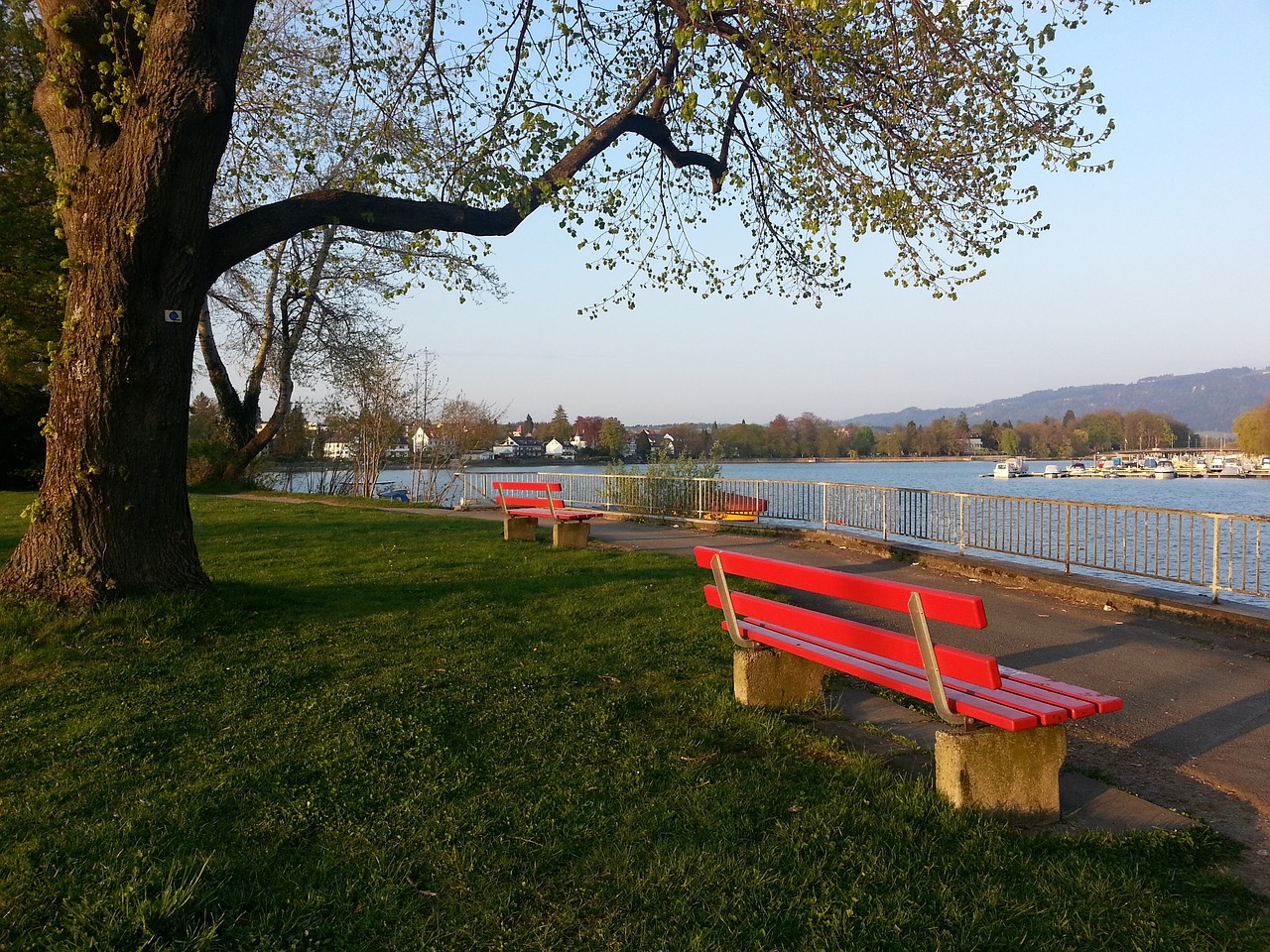 這一紀錄的 這一紀錄的