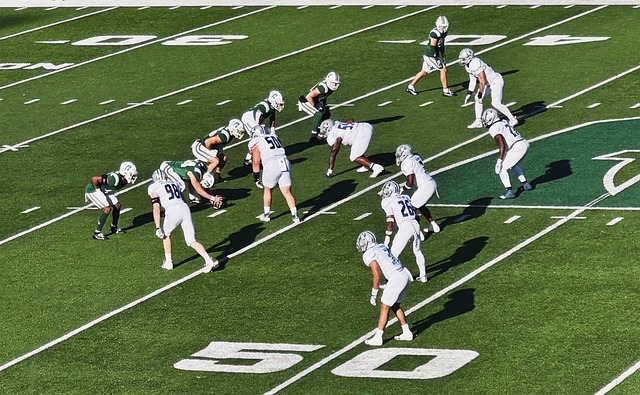 精彩的赛场 精彩的赛场