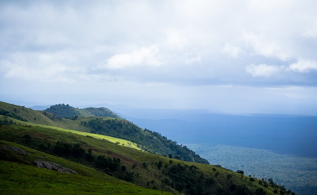 关键球员 关键球员