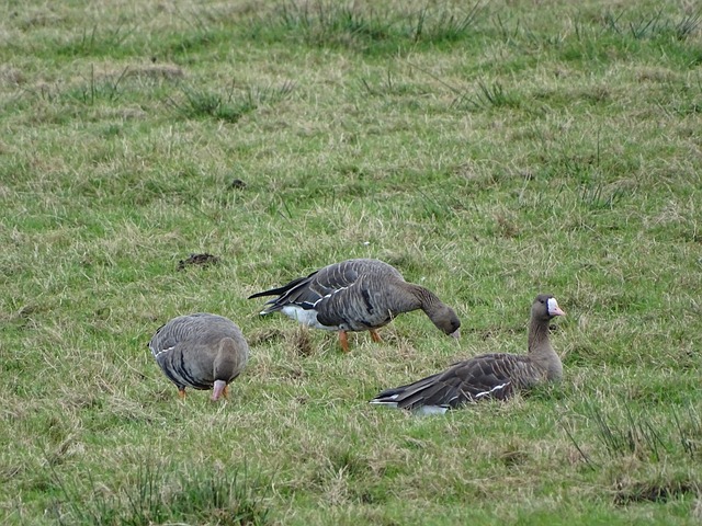 这条线路不 这条线路不